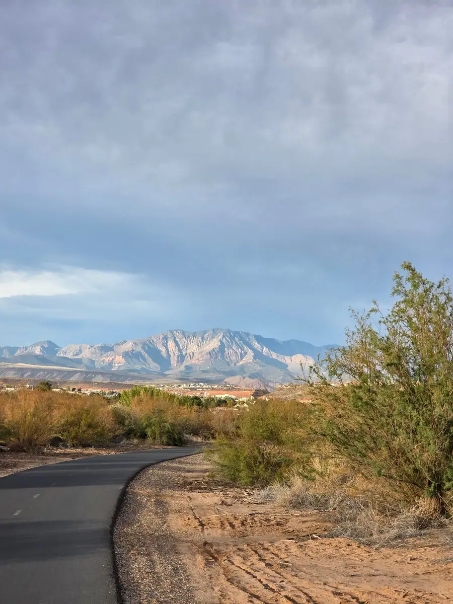 A desert path through creosote with snow on the mountains in the distance