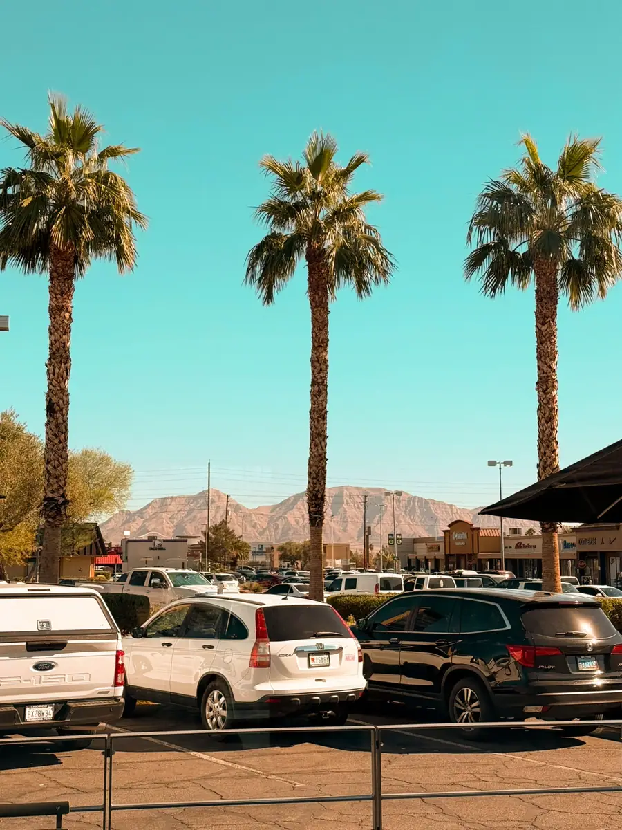 Palm trees over a Las Vegas parking lot with the mountains behind